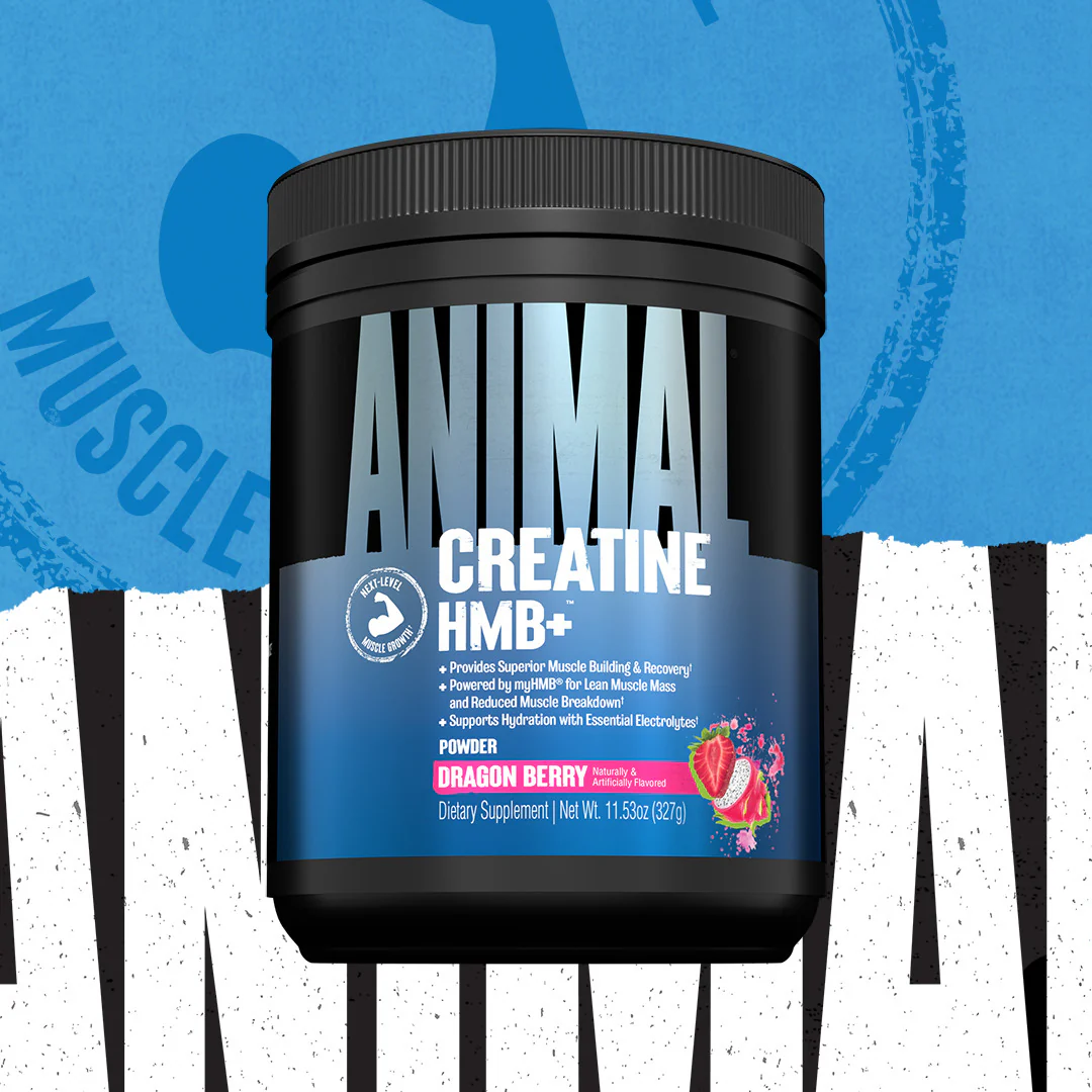 Animal Creatine HMB+ (330g) - Image 4