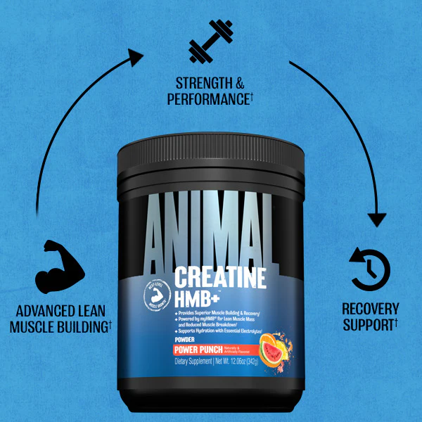 Animal Creatine HMB+ (330g) - Image 6
