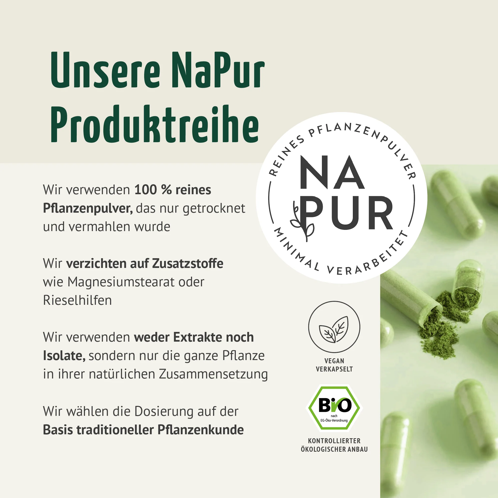 Bio Gerstengras Kapseln Nachfüllpack (400 Kapseln) - Image 2