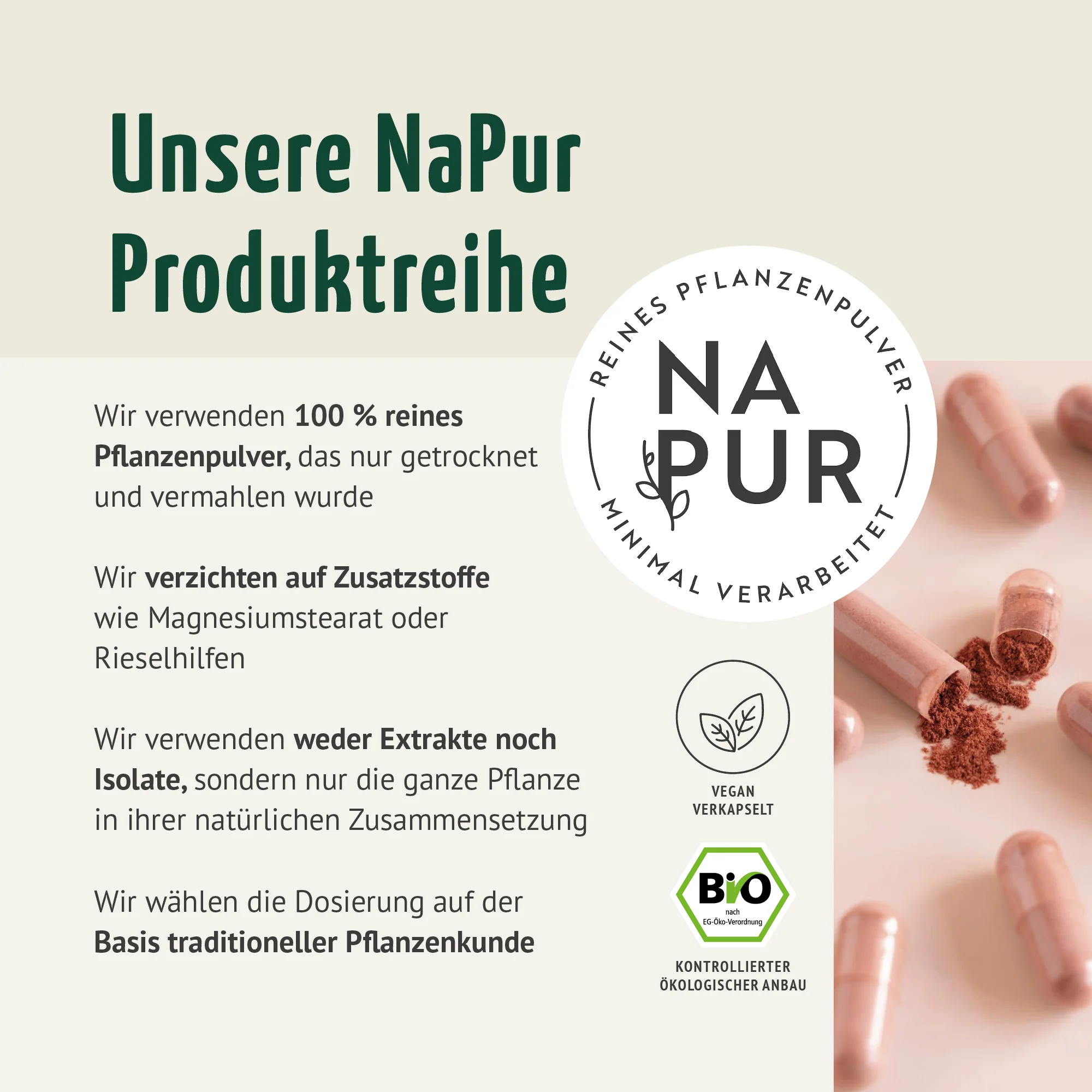 Bio Hagebutten Kapseln (180 Kapseln) - Image 2