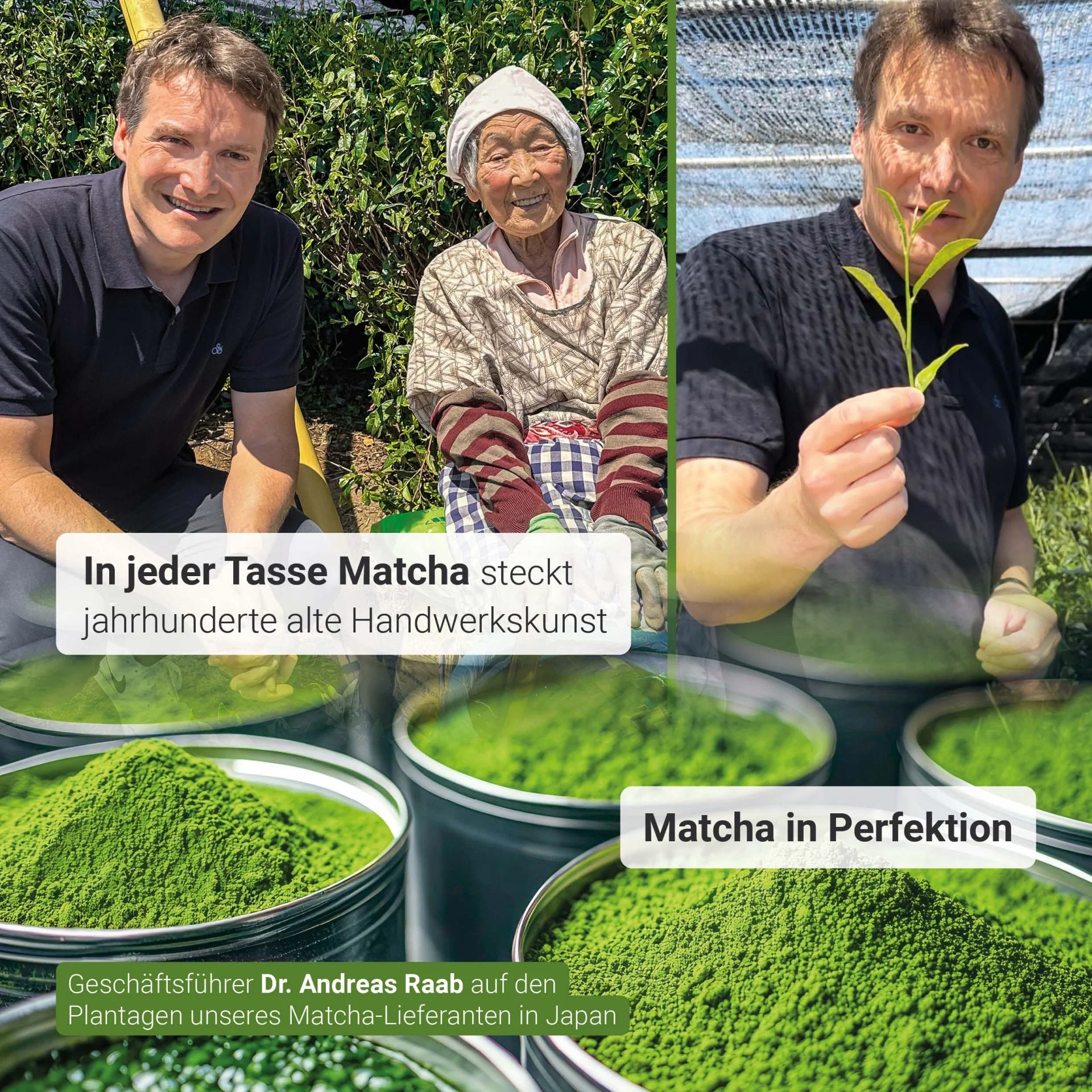 Organic Matcha Premium GrünteePowder (30g) - Image 7