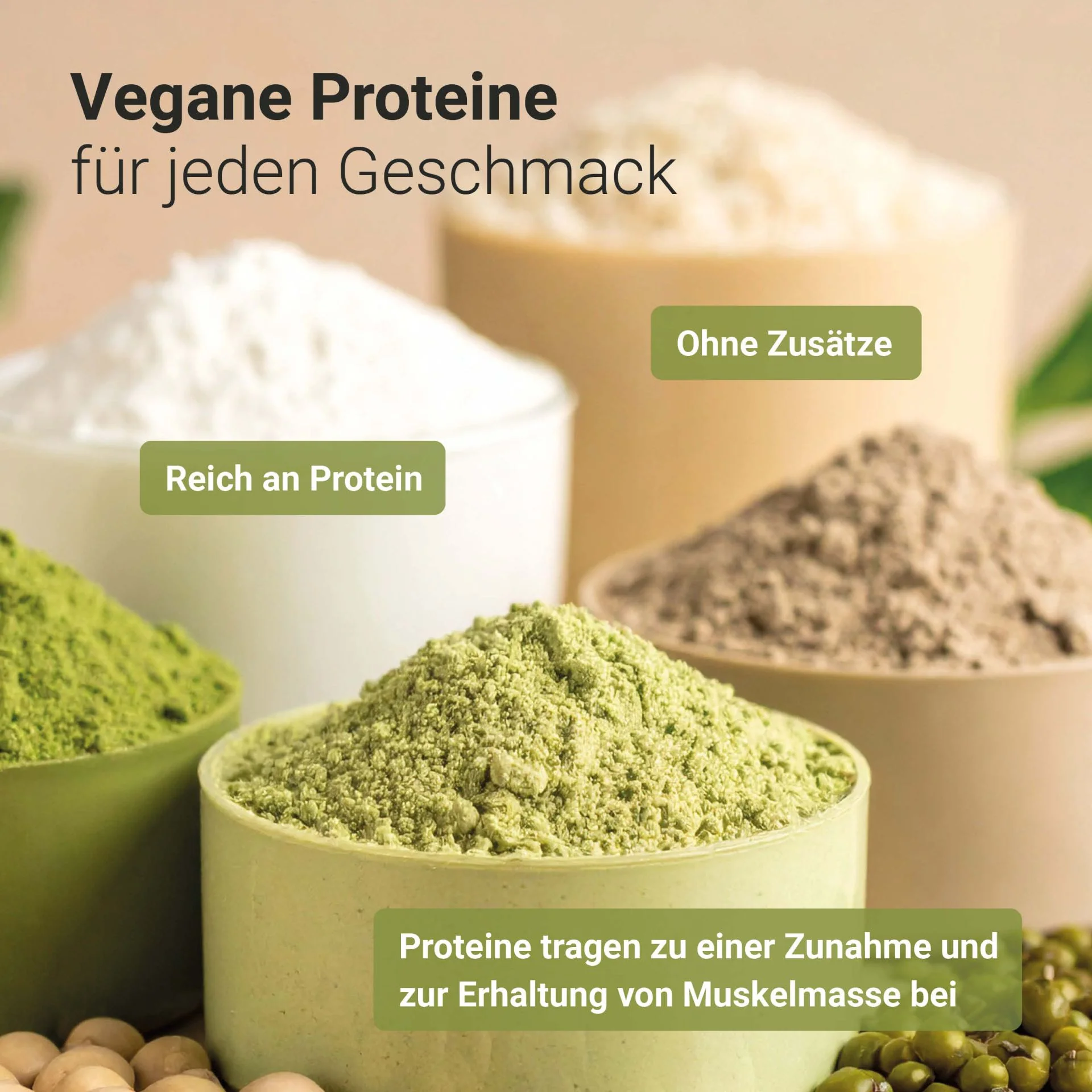 Bio Protein 78 Pure (500g) - Image 5