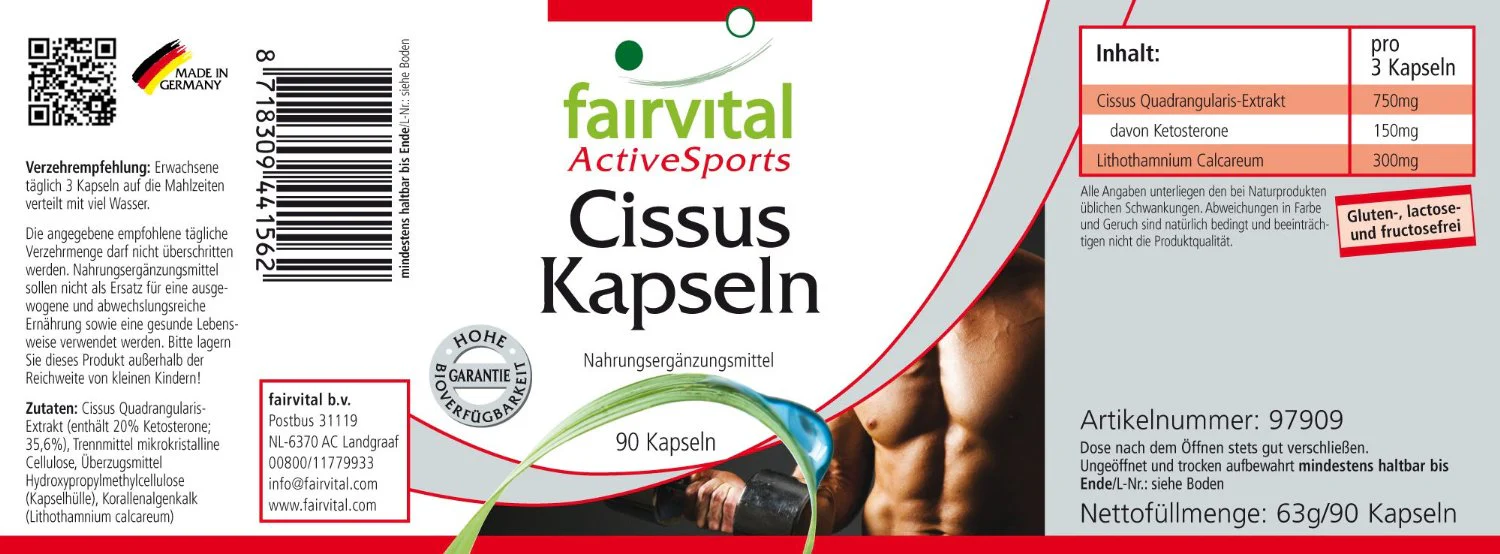Cissus (90 Kapseln) - Image 2