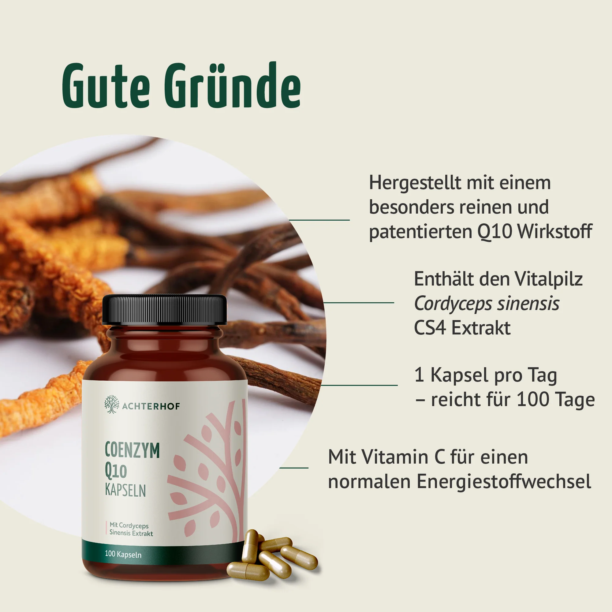 Coenzym Q10 Cordyceps (100 Kapseln) - Image 2