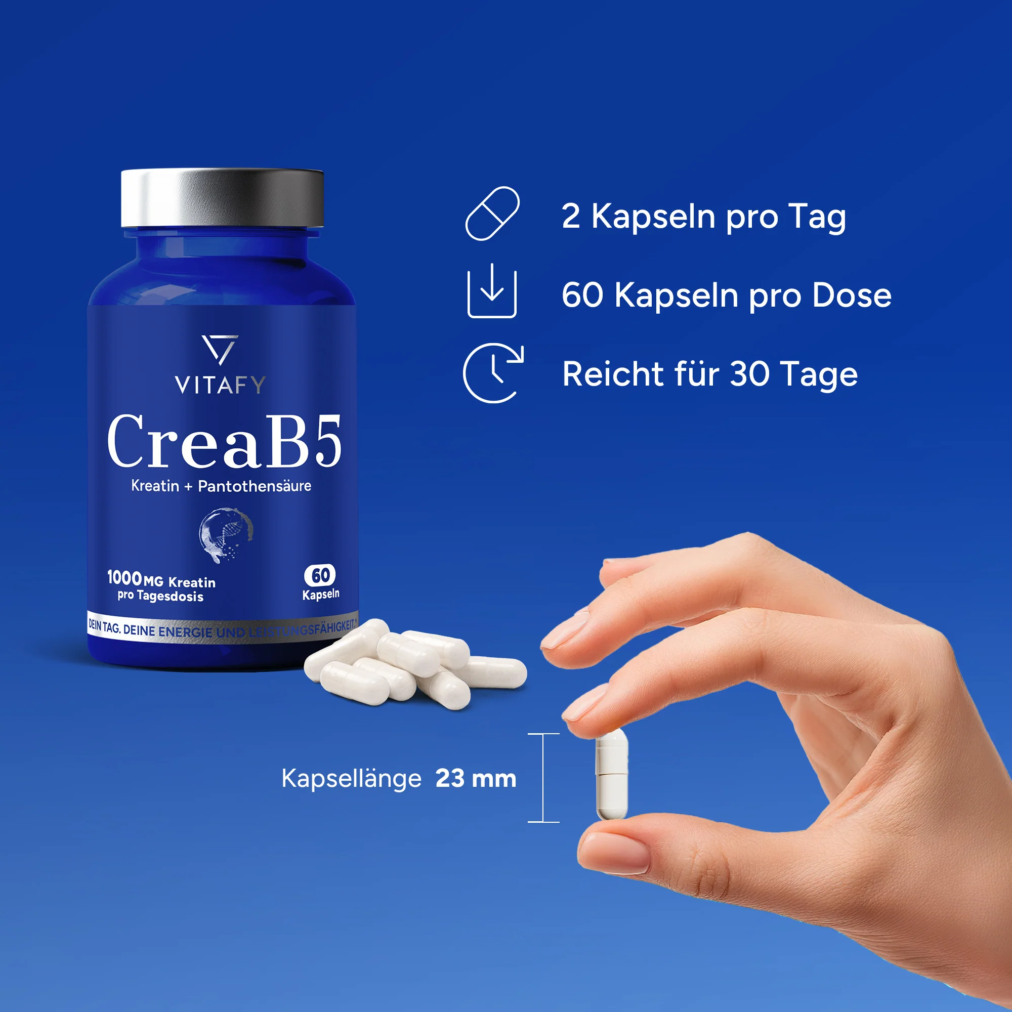 CreaB5 (60 capsules) - Image 5