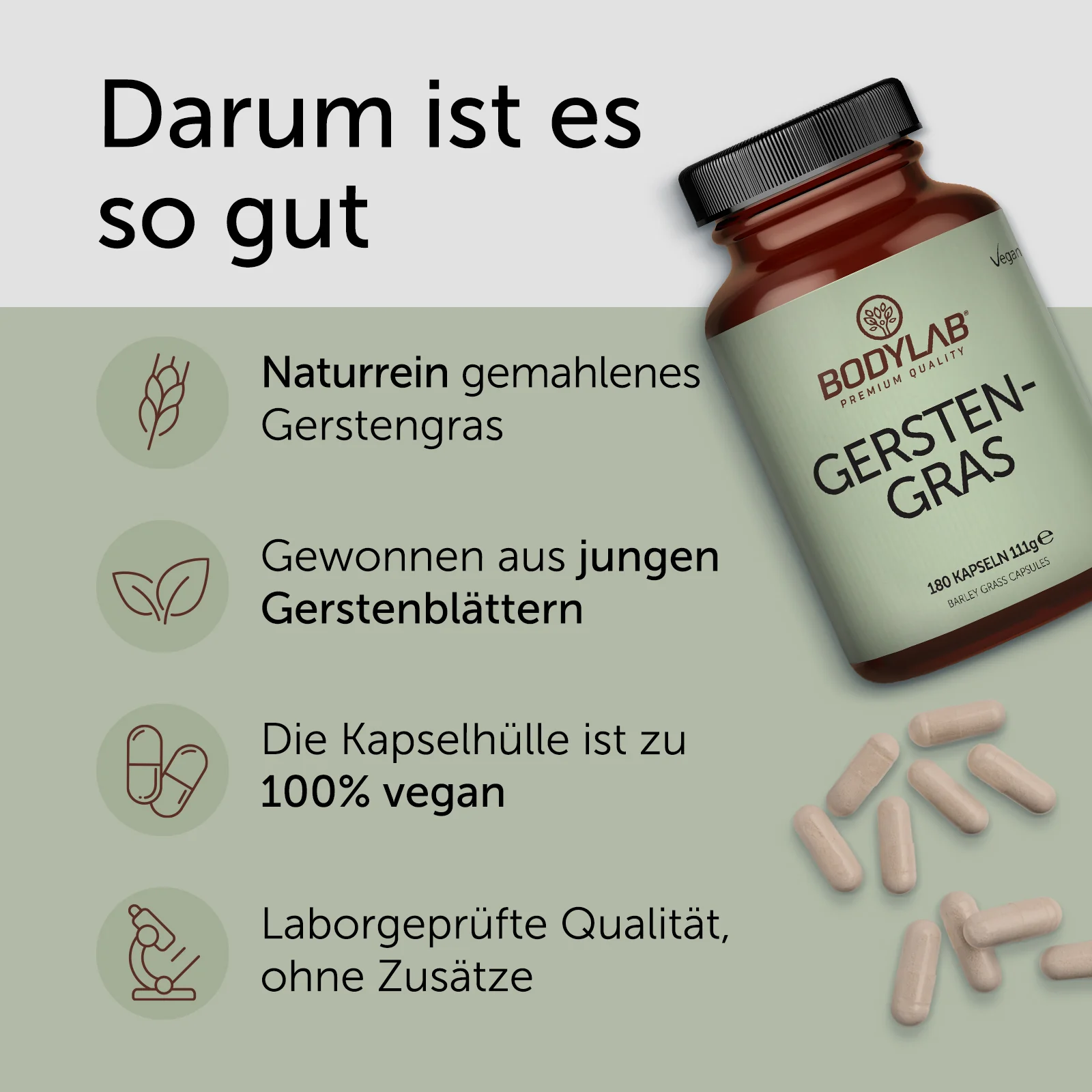Gerstengras (180 capsules) - Image 2