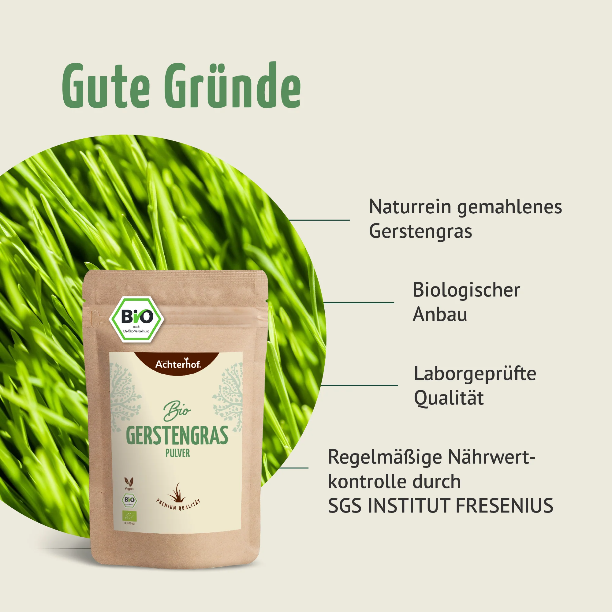 Bio Gerstengras Pulver (1000g) - Image 4