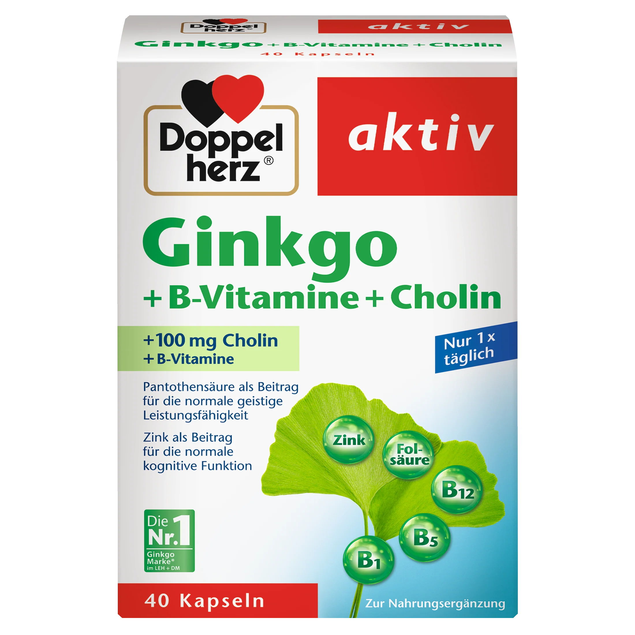 Ginkgo + Vitamin B + Cholin (40 Kapseln)
