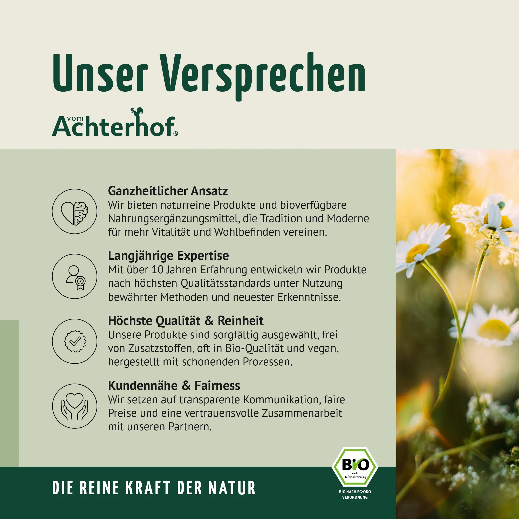 Bio Hagebutten Pulver (500g) - Image 10