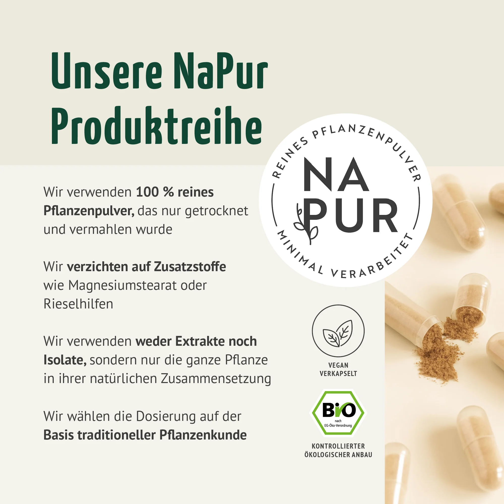 Bio Ingwer Kapseln Nachfüllpack (400 Kapseln) - Image 2