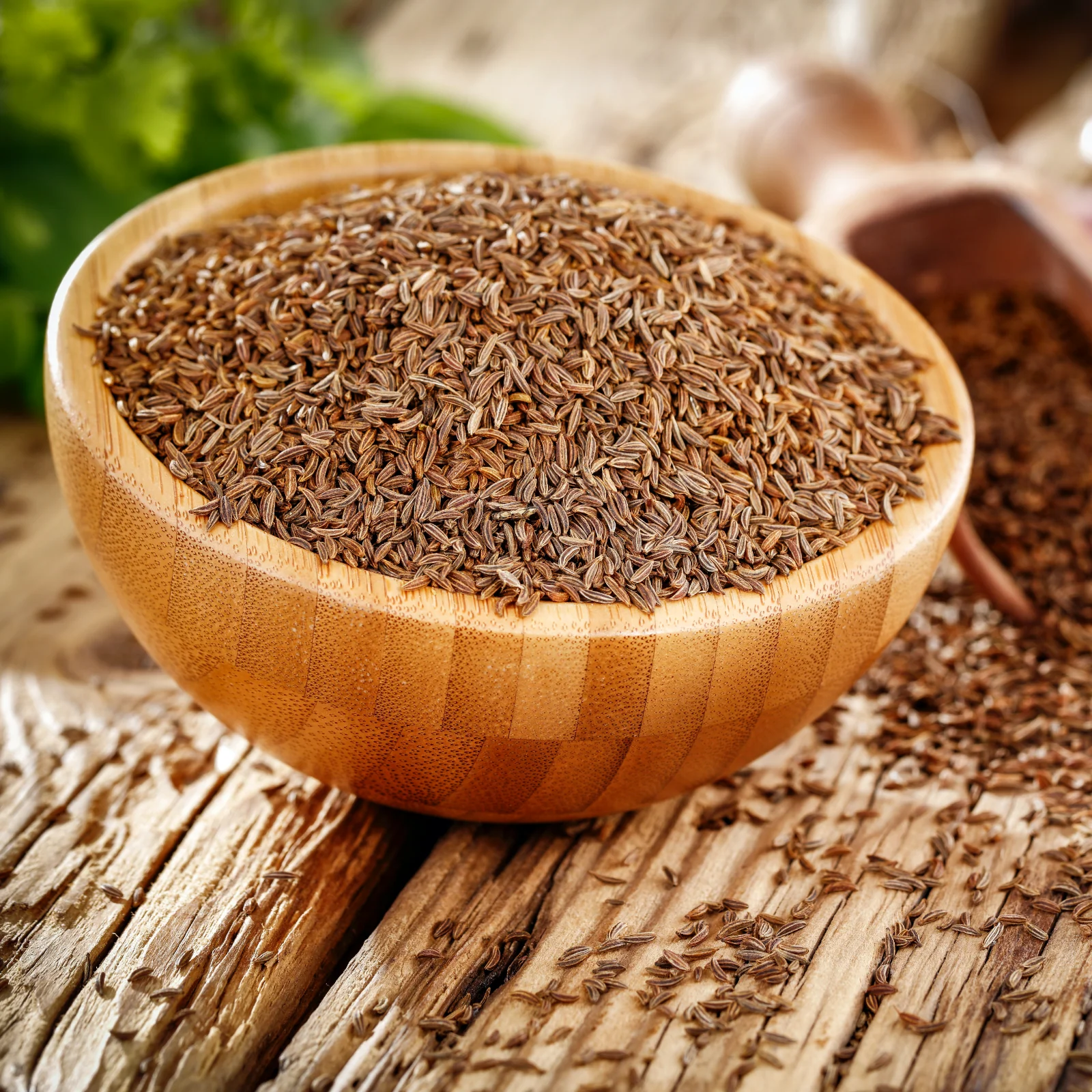 Kümmelsamen ganz Bio (1000g) - Image 5