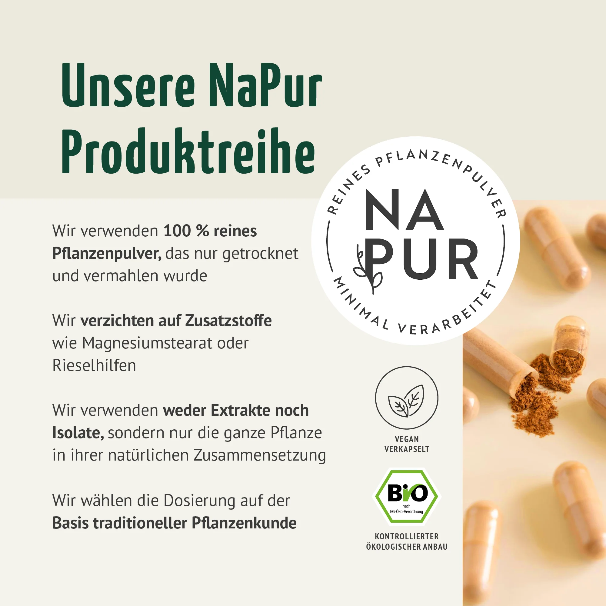 Bio Kurkuma Kapseln Nachfüllpack (400 Kapseln) - Image 2