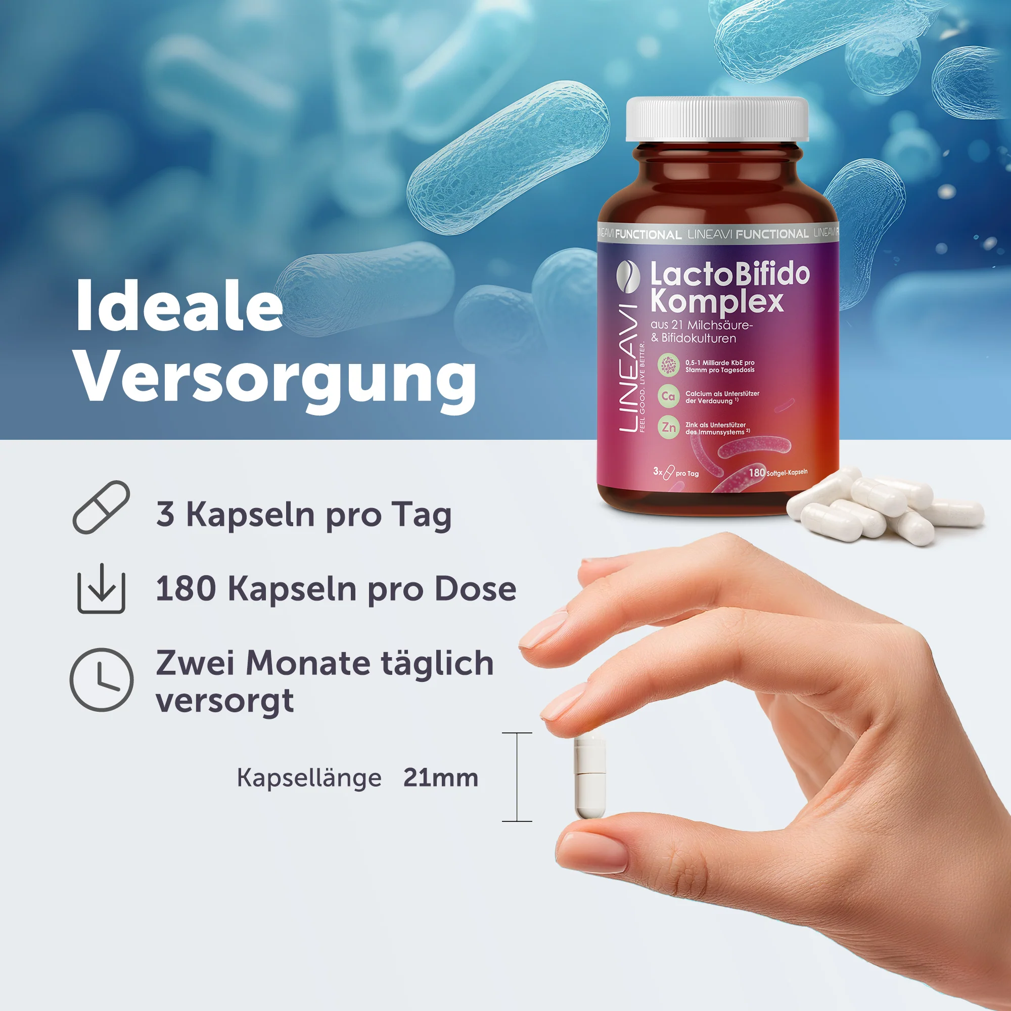 LactoBifido Komplex (180 Kapseln) - Image 6