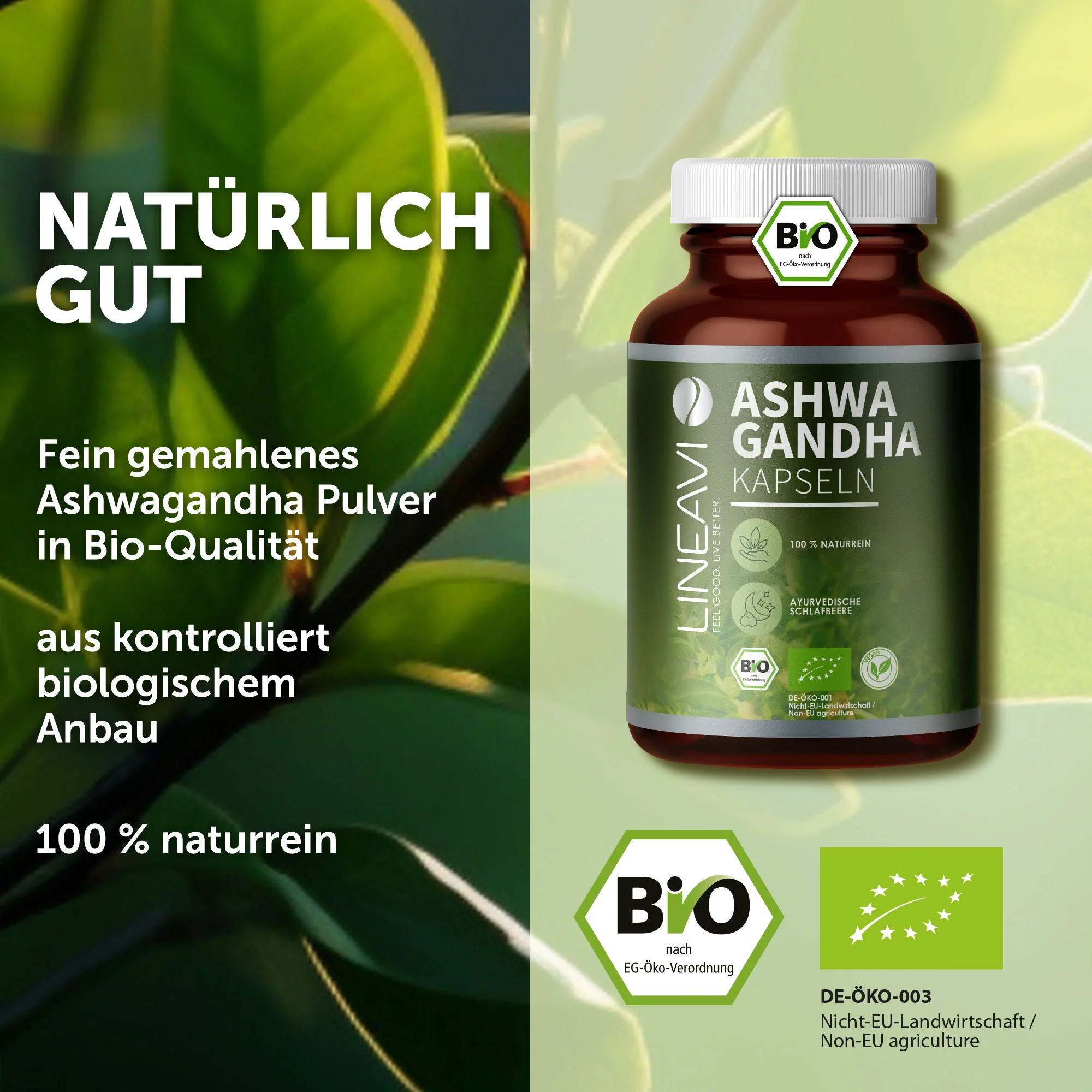 Doppelpack: Ashwagandha Kapseln bio (2x150 Kapseln) - Image 10