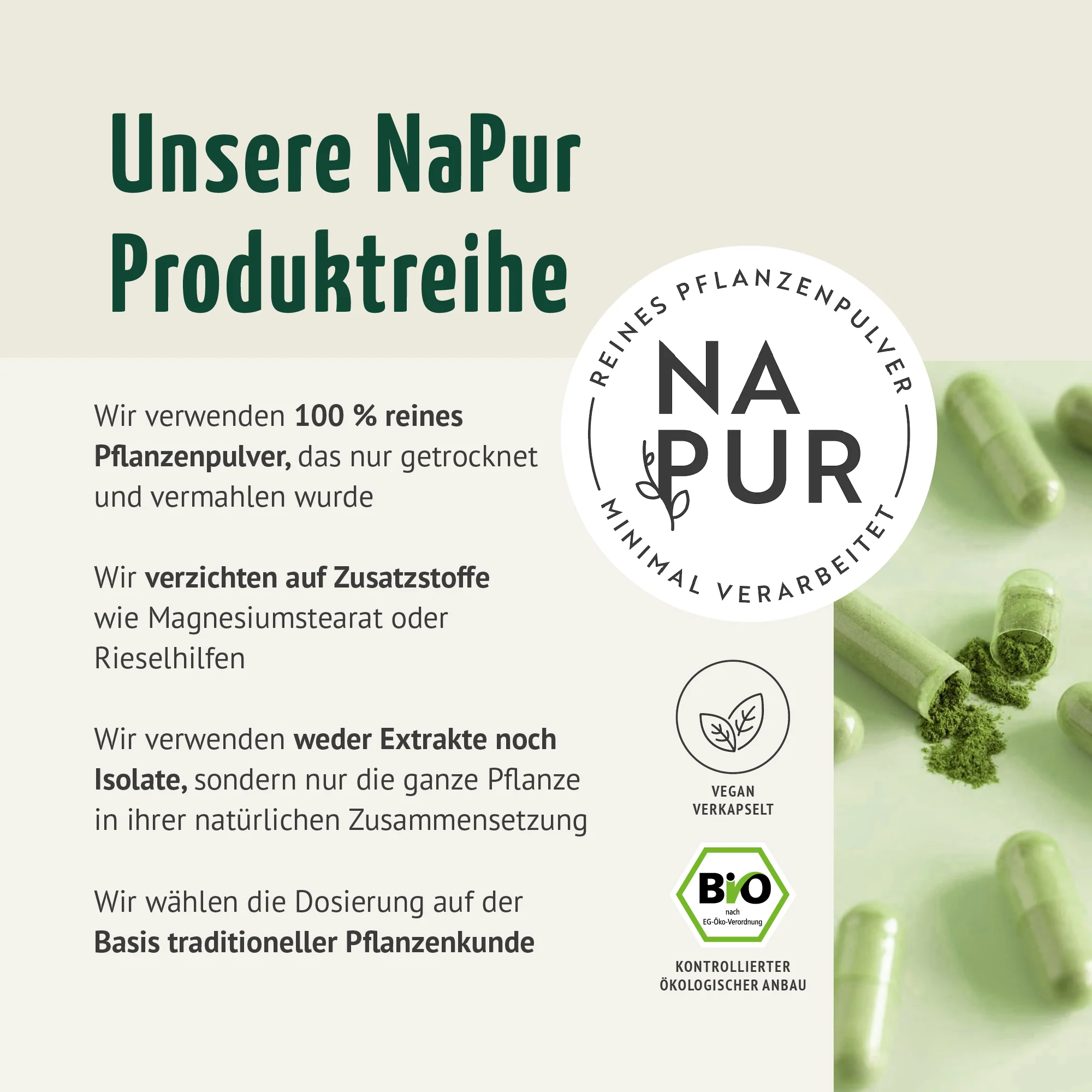 Moringa Kapseln Bio (150 Kapseln) - Image 2
