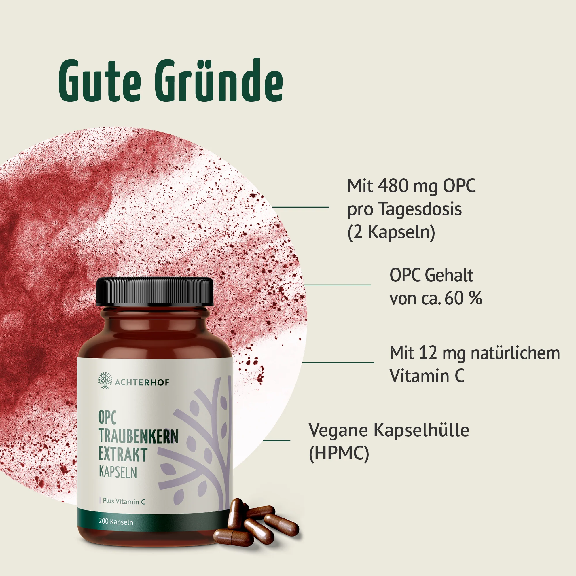 OPC Traubenkernextrakt + Vitamin C Kapseln (200 Kapseln) - Image 2