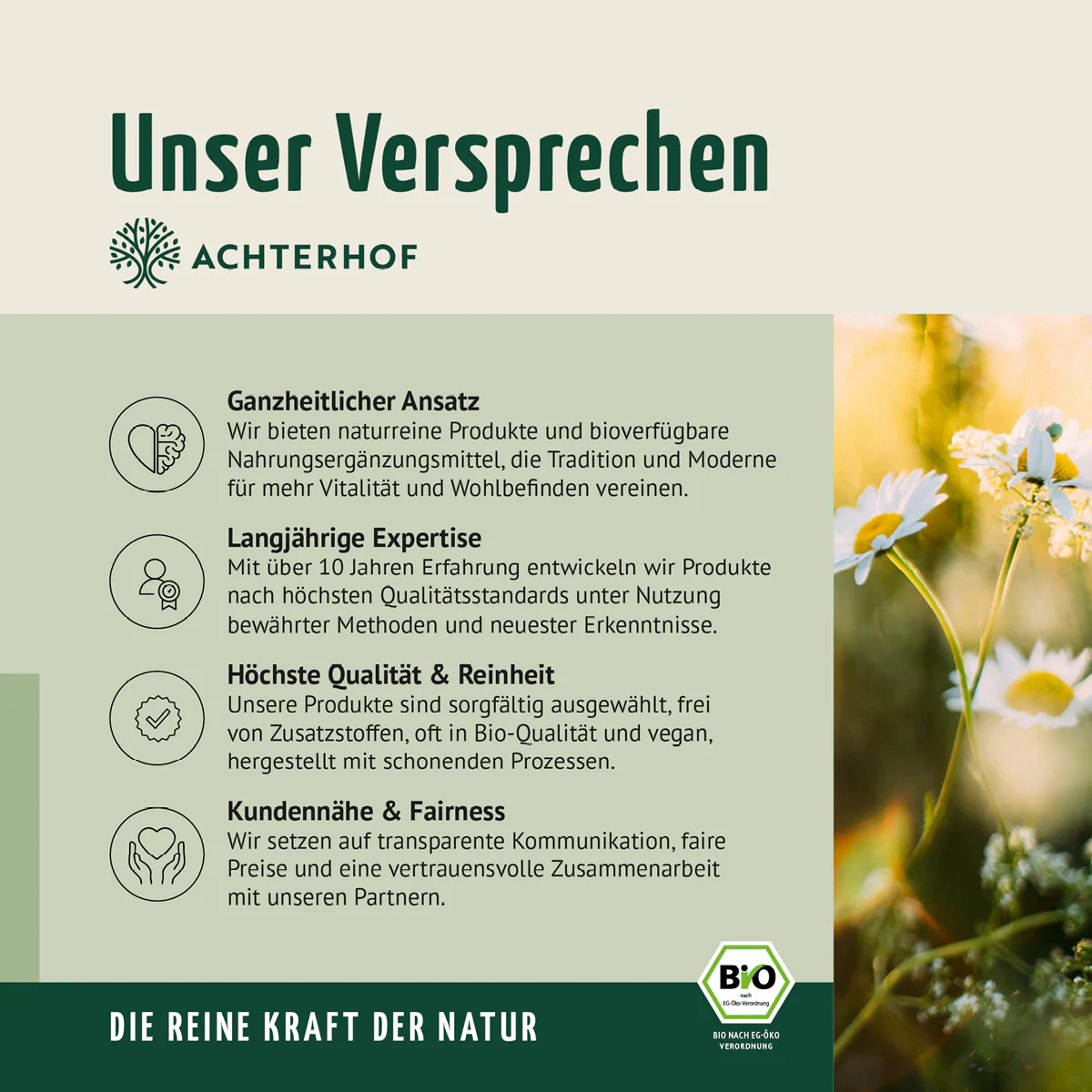Saftzeit Bio Fastenkur 1-7 Tage (6 Flaschen pro Tag) - Image 13